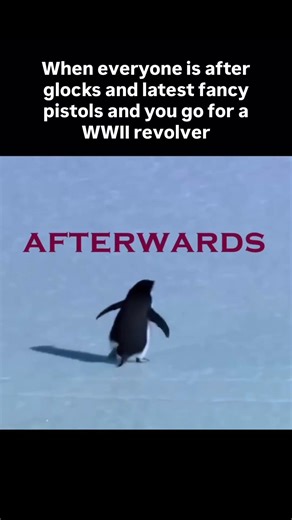 Are you the fancy pistol person or a vintage guns lover?