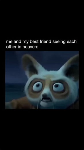 MEMES on Instagram: "😂 Kung Fu Panda is an animated action-comedy movie series made by DreamWorks Animation. The first film, Kung Fu Panda, was released in 2008. The story follows Po, a clumsy and noodle-loving panda who unexpectedly becomes the “Dragon Warrior,” a legendary kung fu hero. Even though he doesn’t look like a typical fighter, Po trains under Master Shifu and alongside the Furious Five to protect their valley from powerful villains. The movies mix martial arts action with comedy an