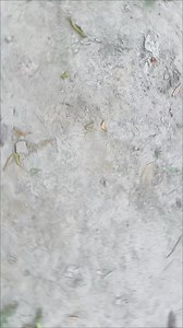 44K views · 2K reactions | Queen Girl Anamika on Reels | Facebook