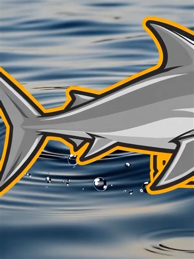 Open Age Men’s Team Sponsorship 2026 National League 1 – RFL Pyramid WHO WE ARE Shaw Cross Sharks is a proud community rugby league club competing at National League 1 level in the newly restructured RFL pyramid. Our Open Age men’s team represents the highest senior standard at the club and competes nationally across England. THE OPPORTUNITY • 22 competitive National League 1 fixtures • Minimum 11 home games • Crowds ranging from 200–1,000, with large attendances for local derbies • Strong local