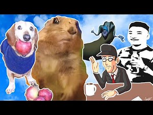FIND the MEMES 2 *How to get ALL 5 New Memes* Roblox