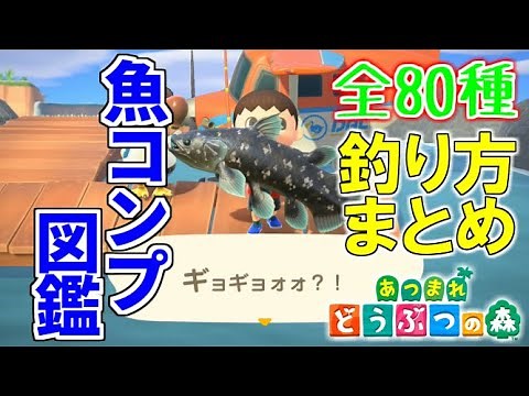 【あつ森】魚全80種の出現時期・場所・釣り方解説まとめ(月別)