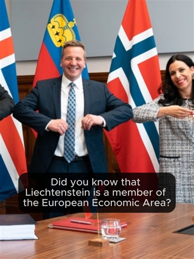 Everyone loves international trade politics! The timing of the refferendum resulted in a rare mass-protest against the Liechtenstein Monarchy in 1992, as the Prince wanted Liechtenstein to vote before Switzerland, against the wishes of the Landtag and popular opinion. #liechtensteinfacts