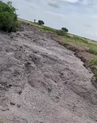 ✨ Discover East Africa with Classic Geo Adventures✨ There’s nothing quite like witnessing wildlife where it truly belongs — in the heart of nature. From our extraordinary trips, every safari becomes a front-row seat to the untamed beauty of the savannah. 🐘🦁🦒 One of the most unforgettable moments? Watching hippos bathing peacefully in their rivers and lagoons — a true reminder of how vibrant and alive the wild really is. 🦛💦 Here, encounters aren’t staged — they’re real, raw, and deeply movin