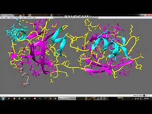 How to display bonds and atoms, change color of secondary structures in chimera?