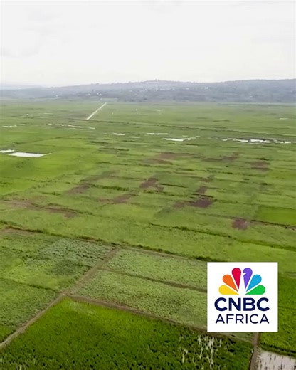 [SPONSORED] Join us on #DoingBusinessInRwanda as we spotlight the bold strategy driving climate-smart investment in agriculture—unlocking finance, boosting productivity, and building resilience for farmers across the country. 📺Tune in today at 17h30 CAT only on #DSTV410. #DBIR Rwanda Development Board (RDB) Rwanda Agriculture Today Updates - Ratu Rwanda Green Fund | CNBC Africa