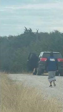 They couldn’t catch their dog 😳😂😂the things you see while deer hunting! #hunting #fyp