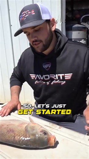 Here’s how I normally clean my fish! 🐠 | Andrew Flair