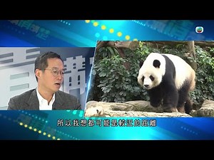 TVB講清講楚｜專訪海洋公園主席龐建貽：付費可體驗做大熊貓保育員 山下園區遷設施增建熊貓館｜無綫新聞 TVB News