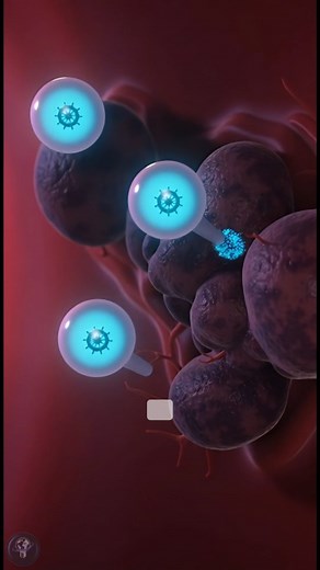 🚨 Microscopic robots that SWIM through your bloodstream are here. Magnetically guided, they push against blood flow, reach deep tumors, unload cancer drugs EXACTLY where needed, then dissolve harmlessly in the body’s acidity. Early tests: cancer cells dead, side effects almost zero. The future isn’t pills or chemo blankets. It’s an invisible army you inject once. 🤖🩸🎯 #Nanobots #CancerBreakthrough #futureofmedicine | CurioSphereai