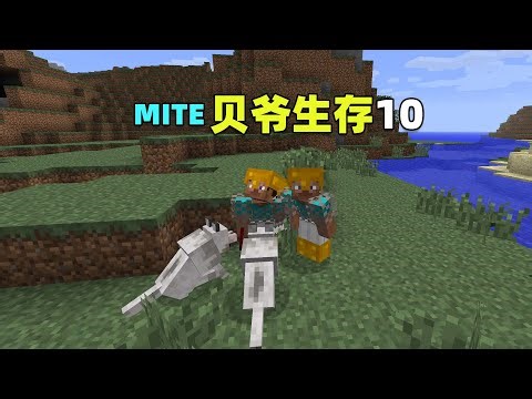 MITE贝爷生存10：生活富裕了，收养小狗！我的世界Minecraft