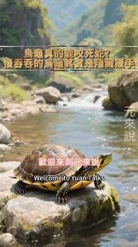 烏龜真的能咬死蛇？慢吞吞的烏龜其實是隱藏獵手