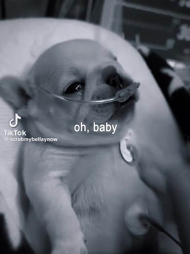 Oh Baby Doll I Can't Move On - The Viral Song