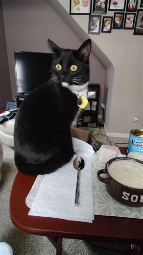 Eating Progresso Traditional New England Clam Chowder, Dbn, MI, 2/23/26