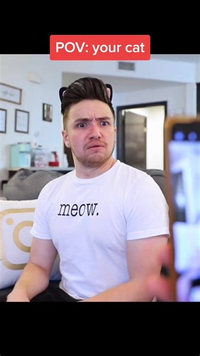EVERY CAT EVER 😸😅 (part 3) #comedy #funny #humor #meme #cat #cats #catsoftiktok #pet #pov #foryou #fyp