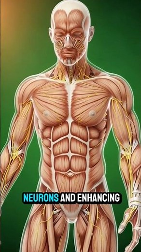 Amazing Benefits of Honey for Brain, Muscles, Gut & Energy | Boost Your Health Naturally