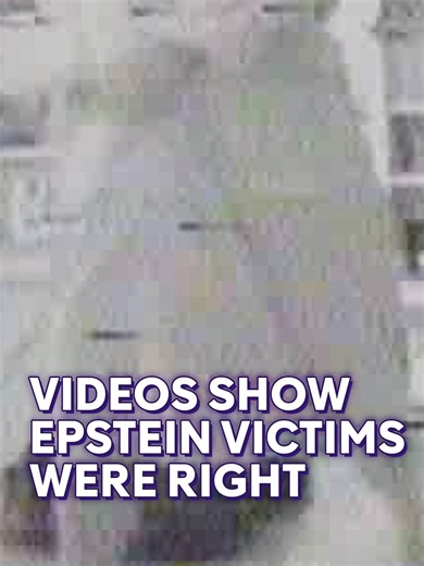 Newly Verified Footage from Epstein's Palm Beach House