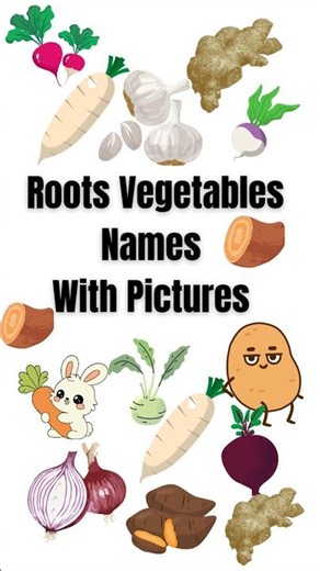Roots Vegetables Names With Pictures #vegetables #vegetablesnameinenglish