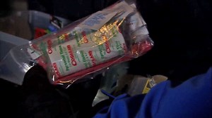 Snowstorm Survival Tips