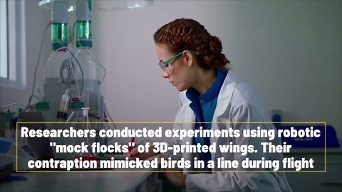 How Do Flocking Birds Fly In Unison?