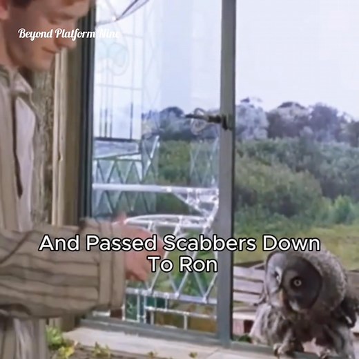 Five Things You Might Not Know About Ron. #highlightseveryone #movies #follower #friends #movieclips #reelsviralシfb #movietime #facebookreel #reelsviralシ #facebookreelsvideo #StarsEverywhere #fypシ゚ #reelsvideoシ #reelsfbシ | Beyond Platform Nine