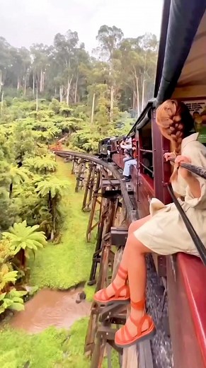 462K views · 7.9K reactions | Most Amazing Train in the world  | #shorts | FactFinder | Facebook