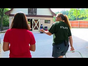 A Day in the Life of a Zookeeper