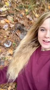 Liverwort and Lactarius indigo 💙💚 What a combo! Hope you all are having a good morning! It may snow here this weekend while I’m camping so 🥶😰 Wish me luck! Have a great day! #mushlove #fungi #forage #forager #mushroom #liverwort #lactariusindigo | Melissa Ketelsen