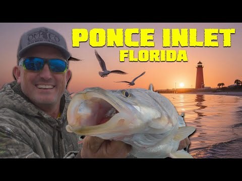 Catch, Cook and Share! {DeerMearforDinner} our New Home!