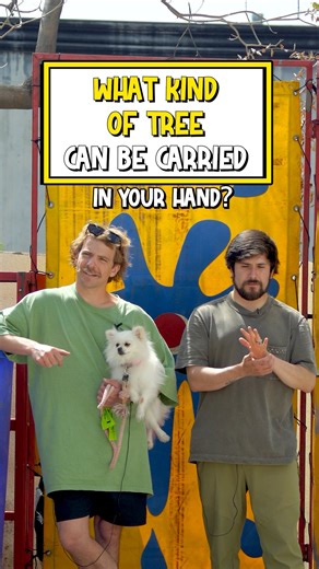 2.5M views · 10K reactions | 易 Brain Teasers That Will Break Your Brain 7. ✅ Card Games Now Available, Link In Bio. | Hanging Out | Facebook