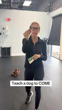 Do you know how to teach your dog to come to you? #dogtraining #dogbehavior #dogtrainingtips