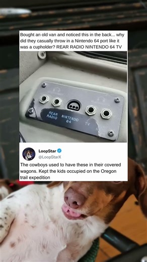 Buying An Old Conversion Van Complete With A Built In Nintendo Sixty Four Port