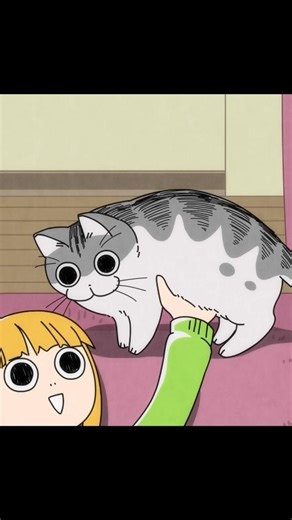 この猫はとてもかわいすぎる
