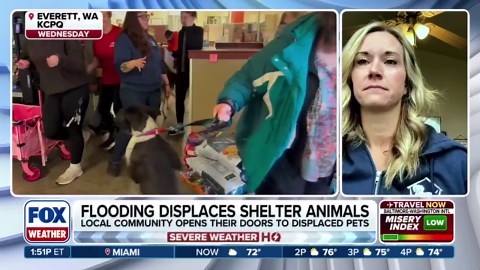 Washington flooding leads to evacuation of 120 animals from shelter