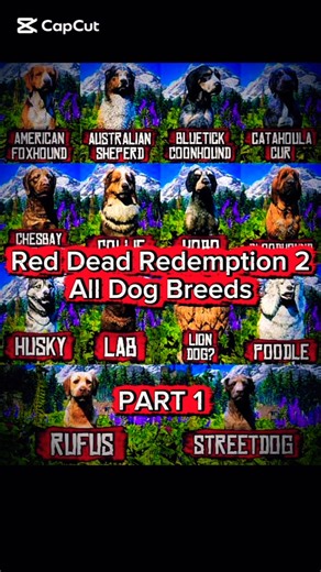 All Dogs Breeds în RDR2! #dog #pets #rdr2 #rockstargames #gaming #videogames #viral #shorts #yt