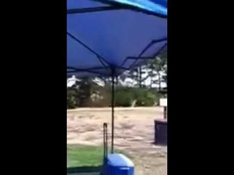 Review for Shade Tech® 10ft x 10ft Instant Canopy