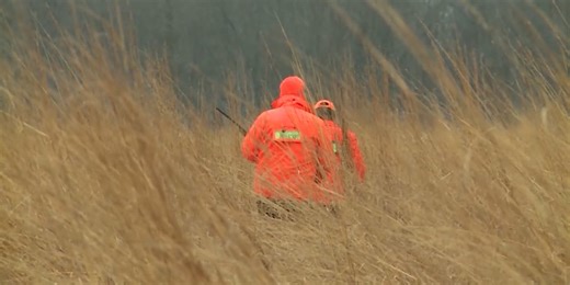 DNR releases new Fall 2024 hunting and trapping forecasts