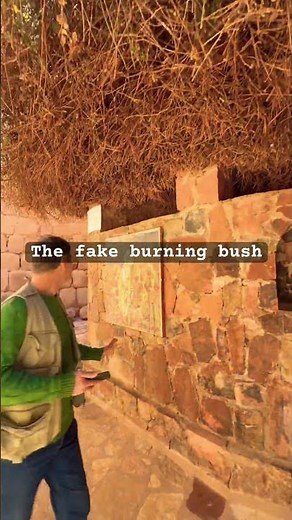 The burning bush? This is what they show you at St Catherine’s monastery in the Sinai Peninsula.😢