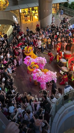 2026 Singapore Wen Yang LED Lion Dance Performance | 新加坡 文扬 發光二極體 舞狮 表演