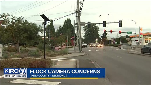 Video: Flock camera concerns