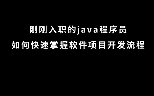 刚刚入职的java程序员如何快速掌握软件项目开发流程