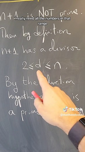 Understanding the Significance of Prime Numbers in Mathematics