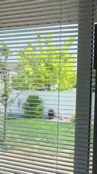 Patio Door with Built-In Blinds Review! ✨ Ultimate Privacy & Light Control!