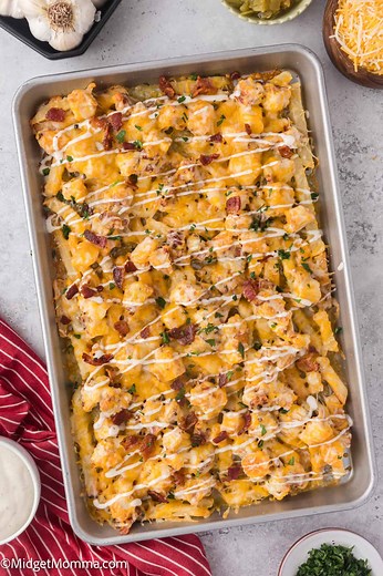 Chicken Bacon Ranch Loaded Cheese Fries
