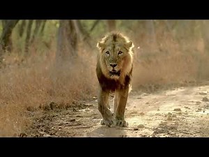 Starting 1 March | Unexplored India | National Geographic MENA