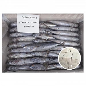 [Hot Item] Frozen Bonito Tuna Kawa Kawa 200-300g Frozen Bonito