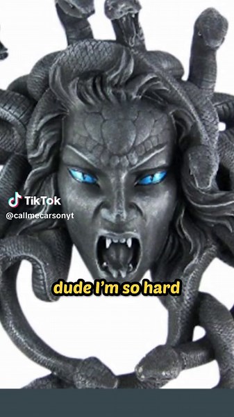 Gavin's Fake Amazon Review #cmc #callmecarson #amazon #discord #meme #medusa #fyp