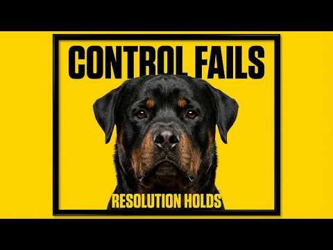 Why Rottweilers Don’t Need Control — They Need Resolution