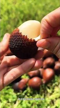 இந்தப் பழத்தின் பெயர் என்ன#facts #honeybeesting #foodfacts #food #motivation #sakthifacts #தமிழ்