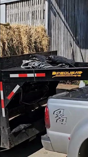 How The Amish Unload 600 Pound Bales